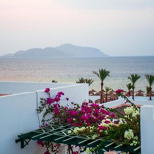 Coral Beach Resort Montazah (Adults Only)